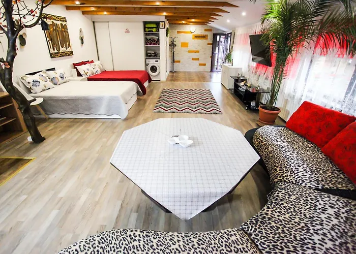 Madi - Close To Homestay Constanta