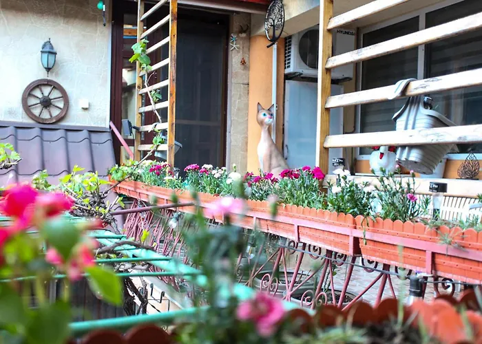 Madi - Close To Homestay