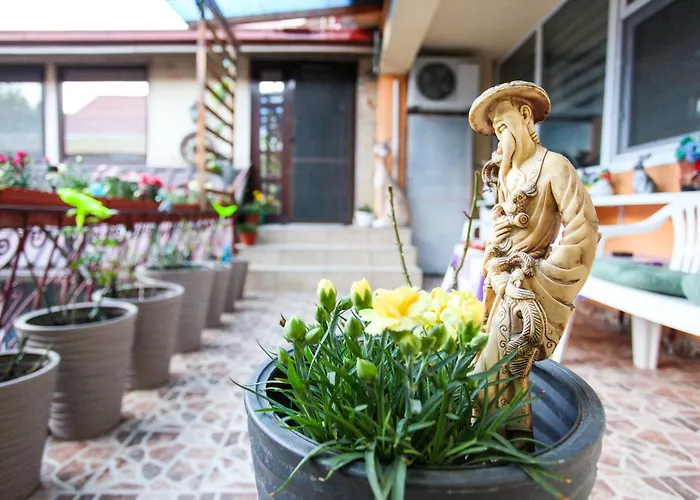 Madi - Close To Homestay Constanta