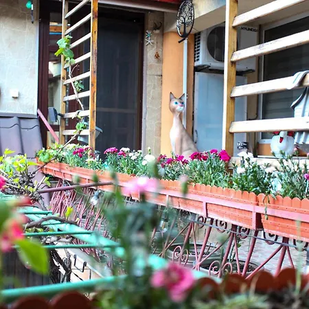 Madi - Close To 홈스테이